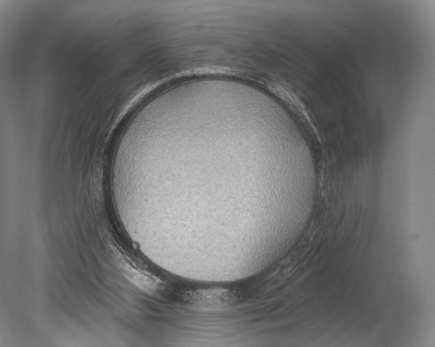 X0000078830108200612041823