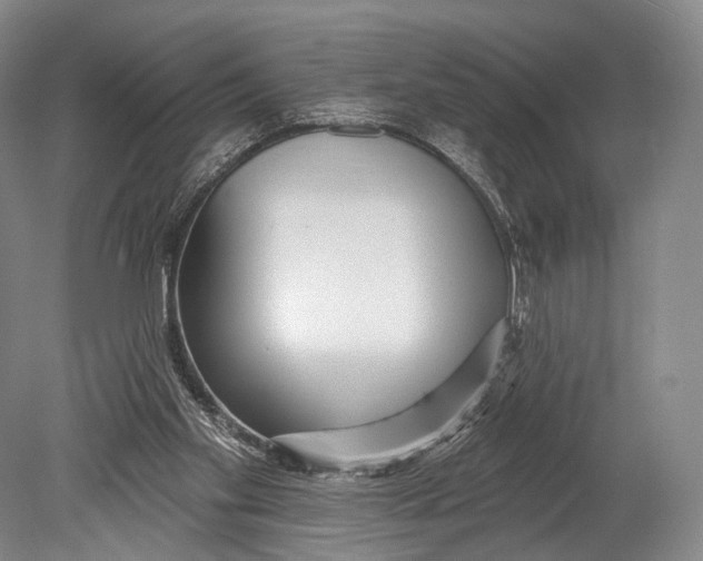 X0000078830109200612041823