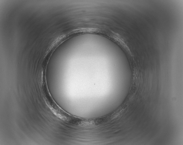 X0000078830110200612041823