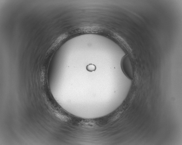 X0000078830113200612041823