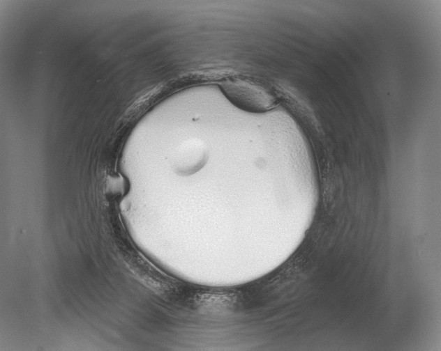 X0000078830115200612041823