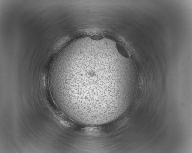 X0000078830117200612041823