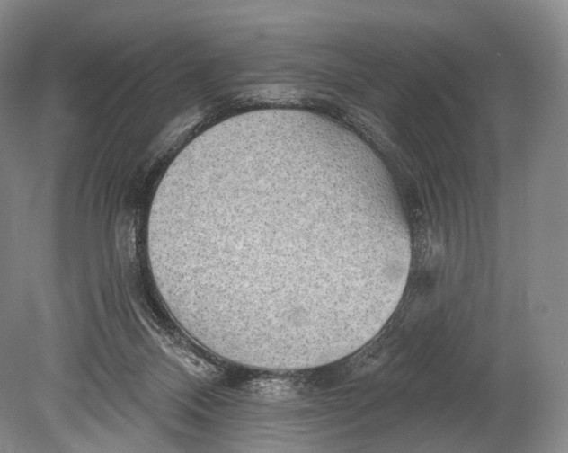 X0000078830120200612041823