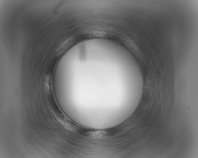 X0000078830122200612041823