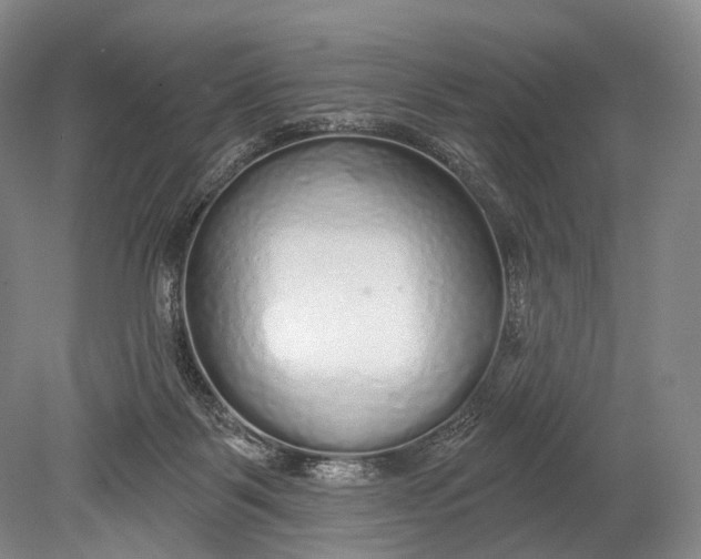 X0000078830123200612041823