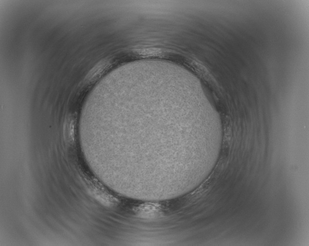 X0000078830124200612041823