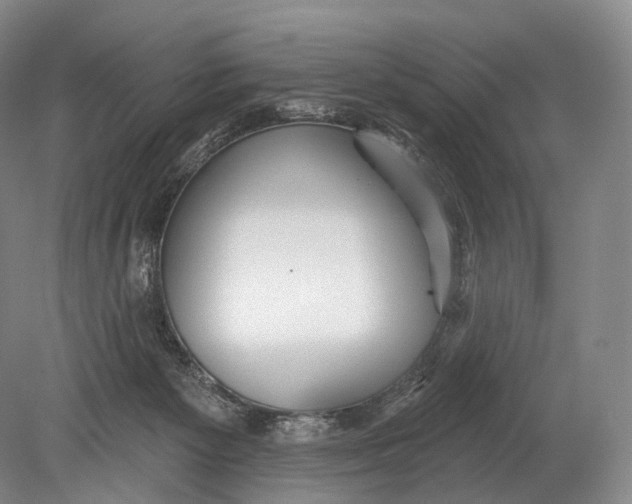 X0000078830125200612041823