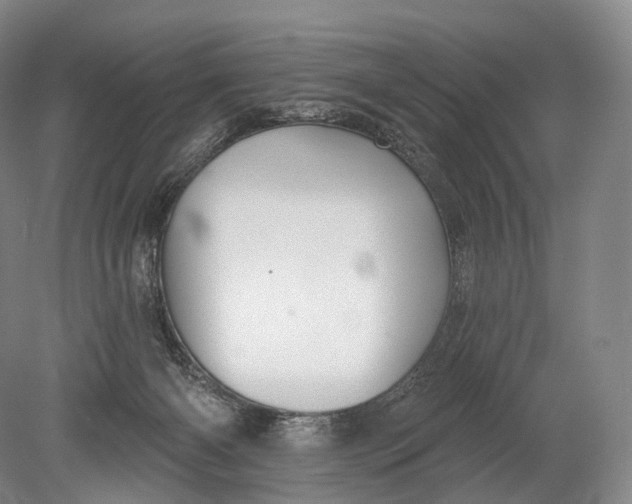 X0000078830126200612041823