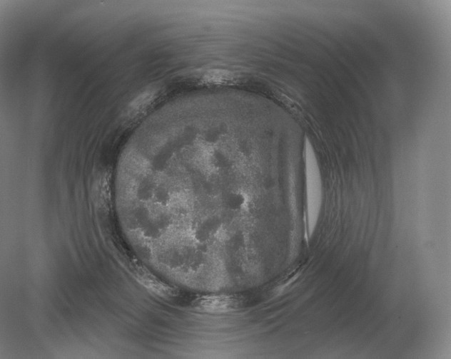 X0000078830127200612041823