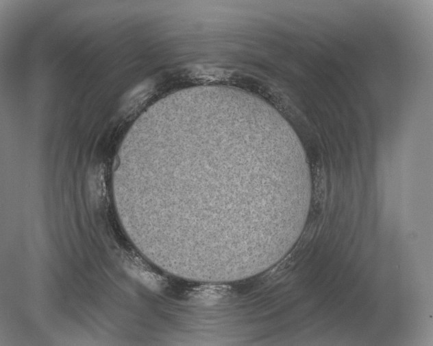 X0000078830128200612041823