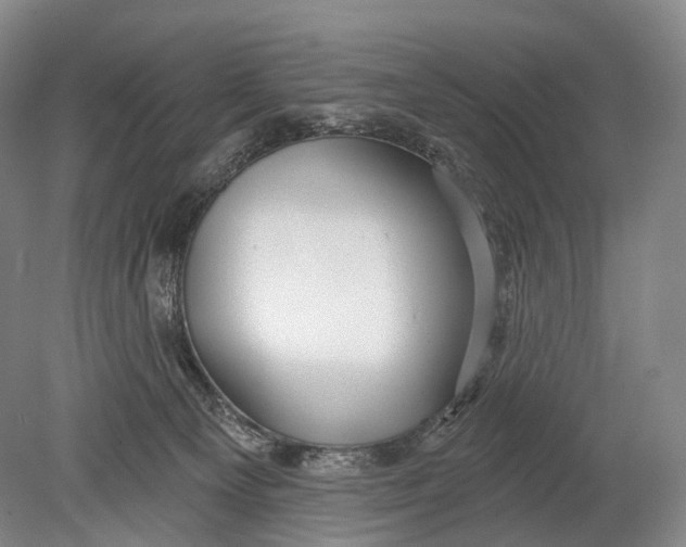 X0000078830129200612041823