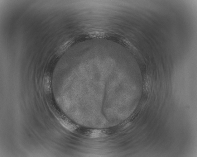 X0000078830130200612041823