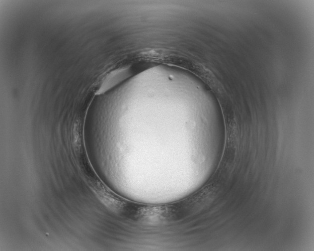 X0000078830131200612041823