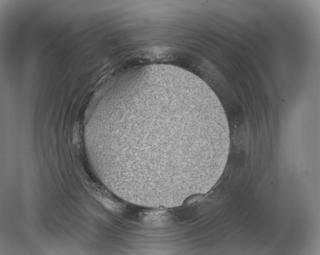 X0000078830132200612041823