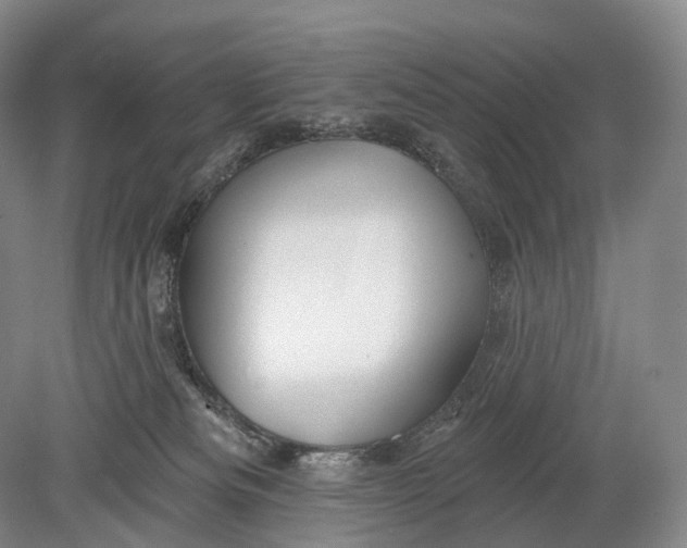 X0000078830133200612041823