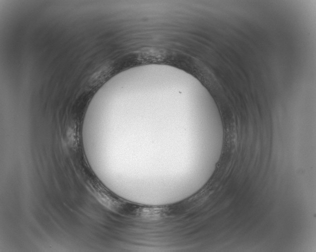 X0000078830134200612041823