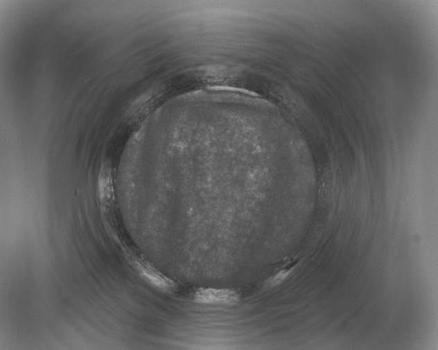 X0000078830137200612041823