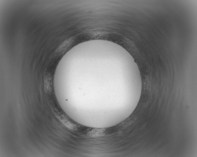 X0000078830138200612041823