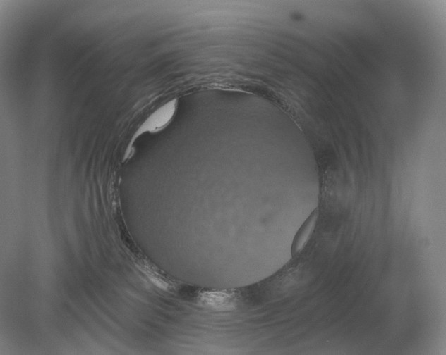 X0000078830139200612041823