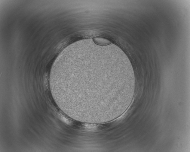 X0000078830144200612041823