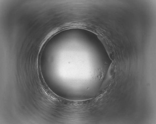 X0000078830148200612041822