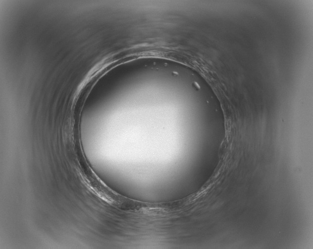 X0000078830150200612041822