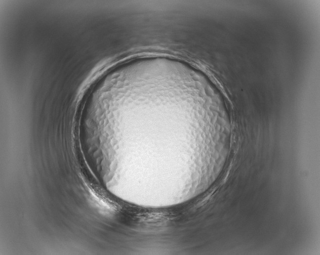 X0000078830151200612041822