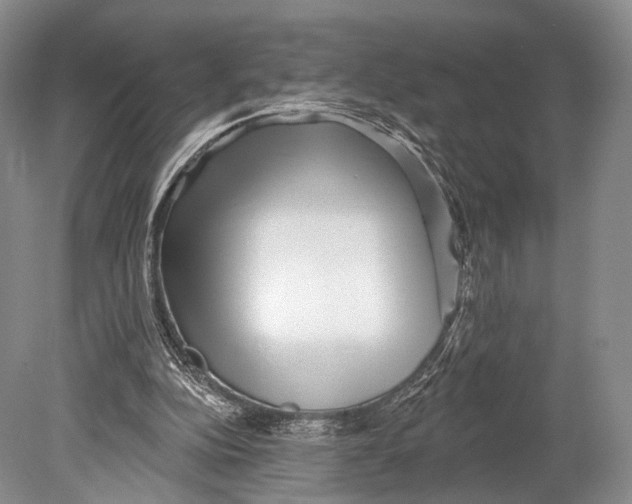 X0000078830152200612041822