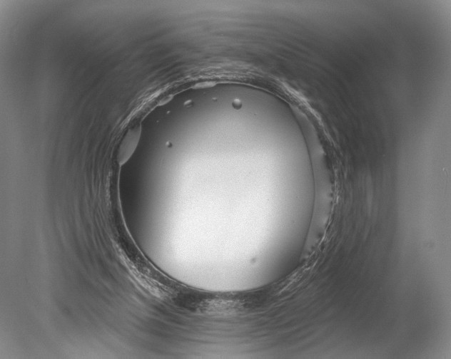 X0000078830154200612041822