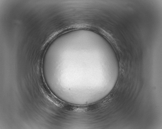 X0000078830155200612041822