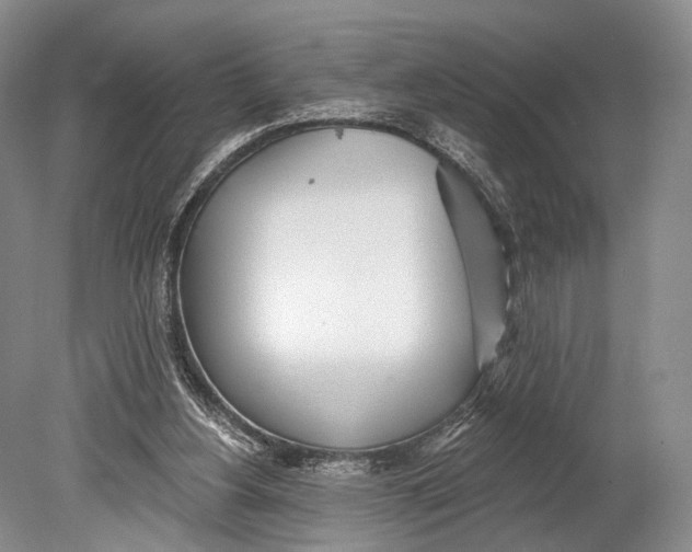 X0000078830156200612041822