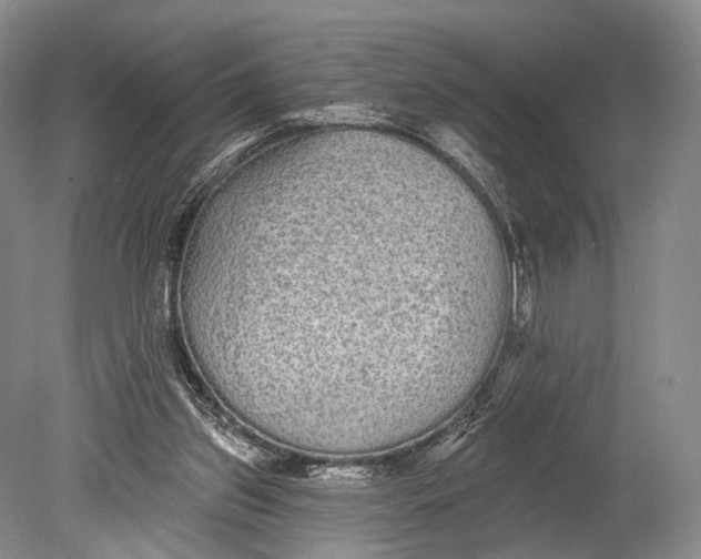 X0000078830157200612041822