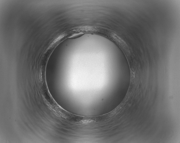 X0000078830158200612041822