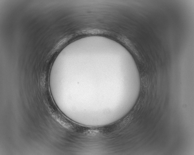 X0000078830159200612041822