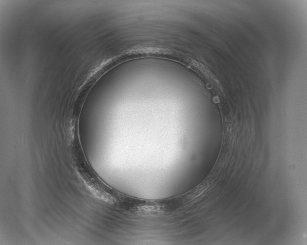 X0000078830160200612041822