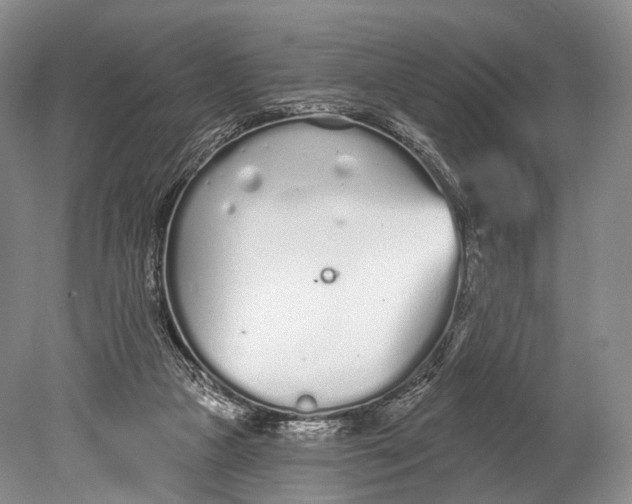 X0000078830161200612041822