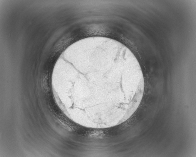 X0000078830162200612041822