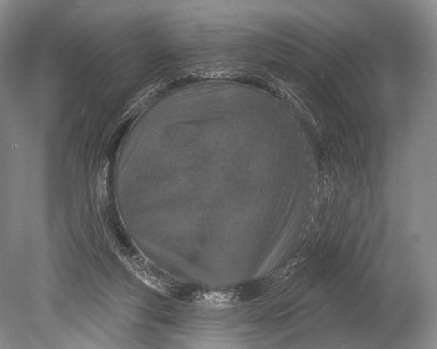 X0000078830163200612041822