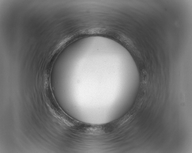 X0000078830164200612041822