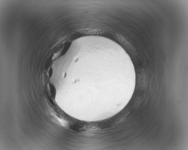 X0000078830165200612041822