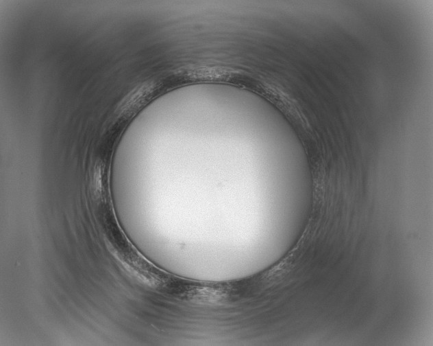 X0000078830166200612041822