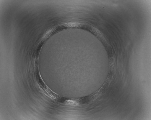 X0000078830167200612041822