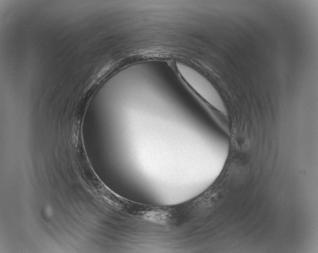 X0000078830168200612041822