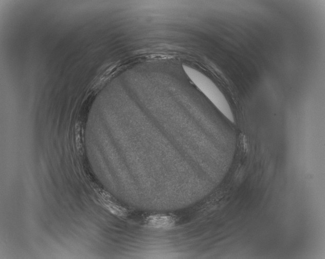 X0000078830169200612041822