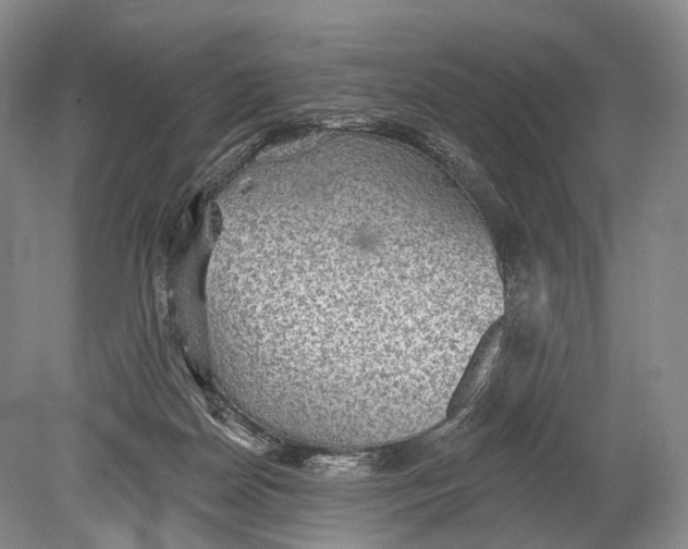 X0000078830170200612041822