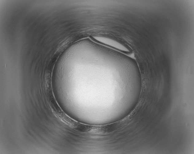 X0000078830171200612041822