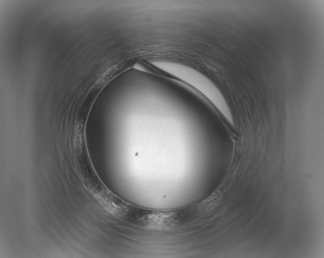 X0000078830172200612041823