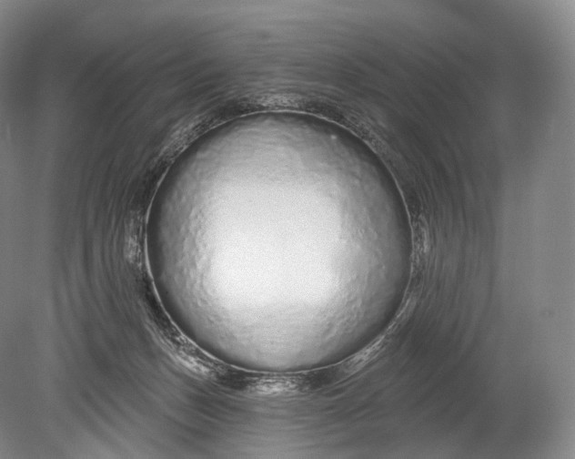 X0000078830175200612041823