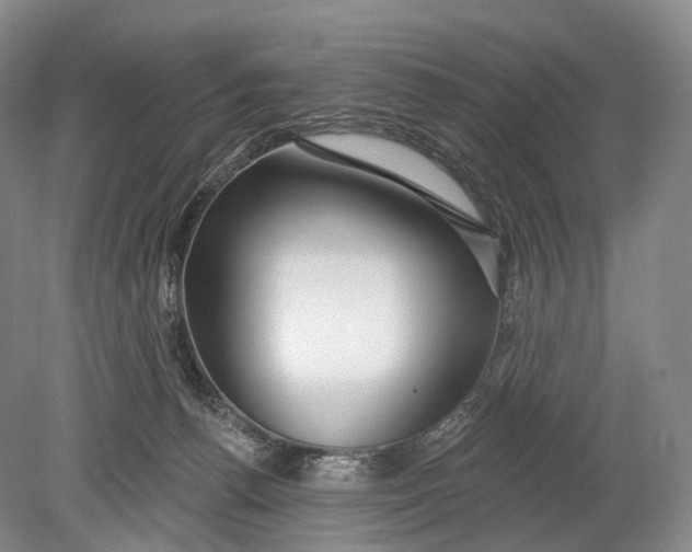 X0000078830176200612041823