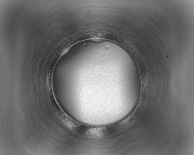 X0000078830178200612041823